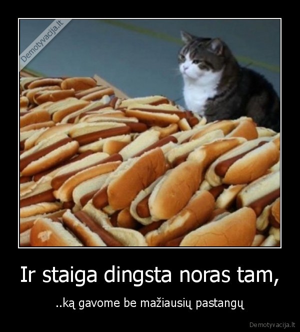 Ir staiga dingsta noras tam,