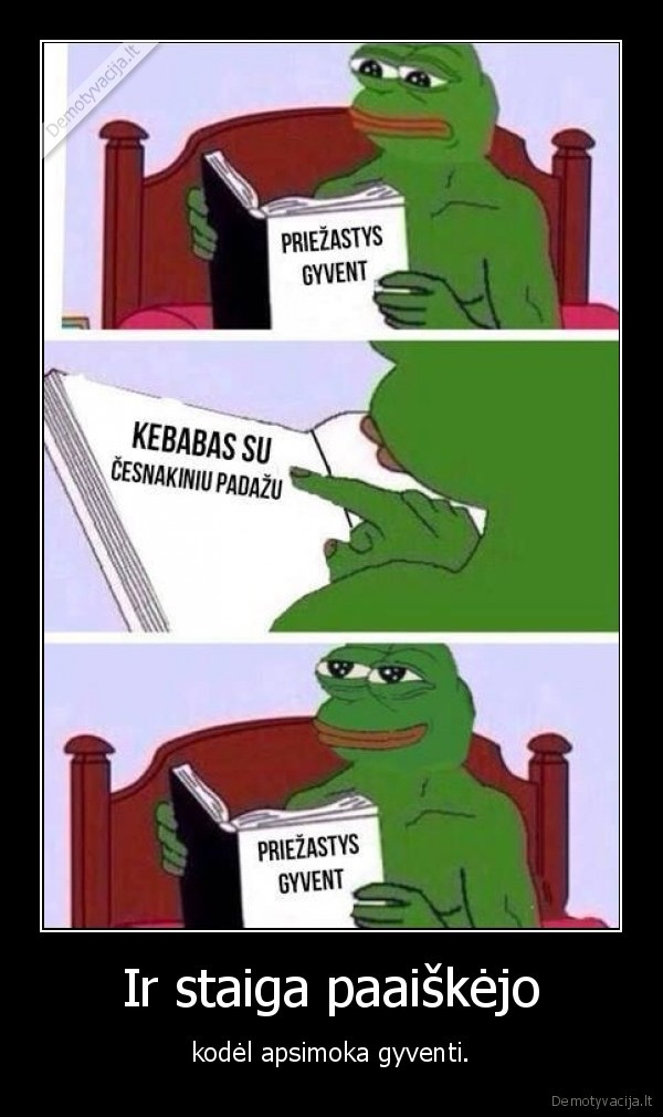 priezastis,gyvenimas,kebabas