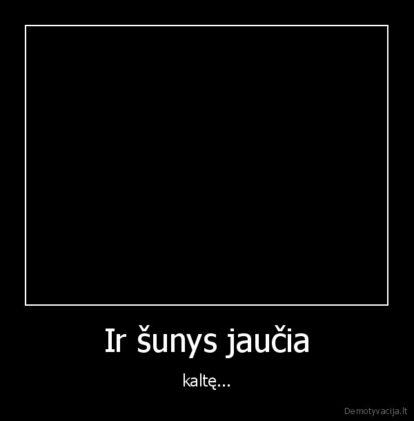 sunys,trepsis,jpafm,radija,grazu,suniukai,prikolas,juokinga