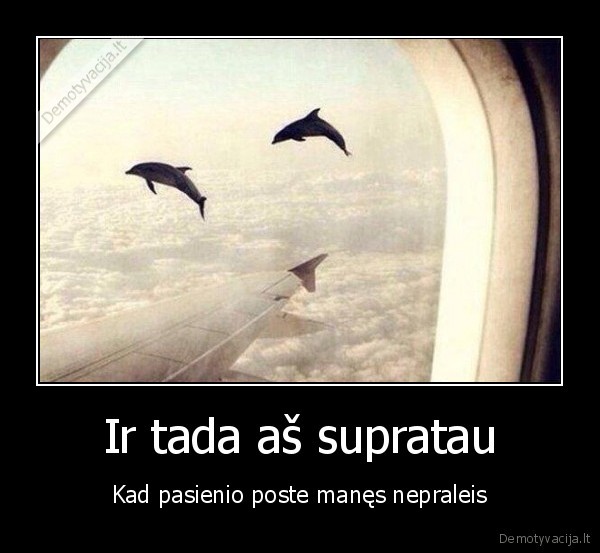 haliucinacijos,skrydis, lektuvu,skraidantys, delfinai