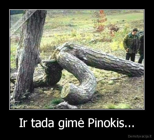 Ir tada gimė Pinokis...