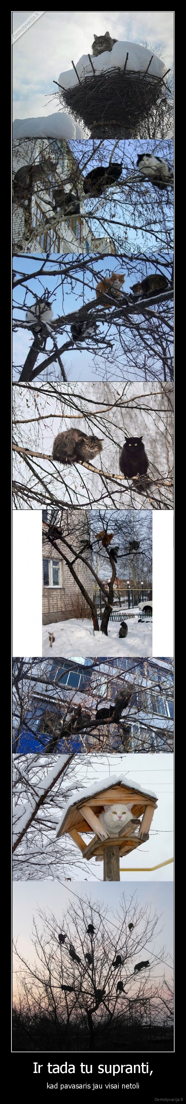 Ir tada tu supranti,