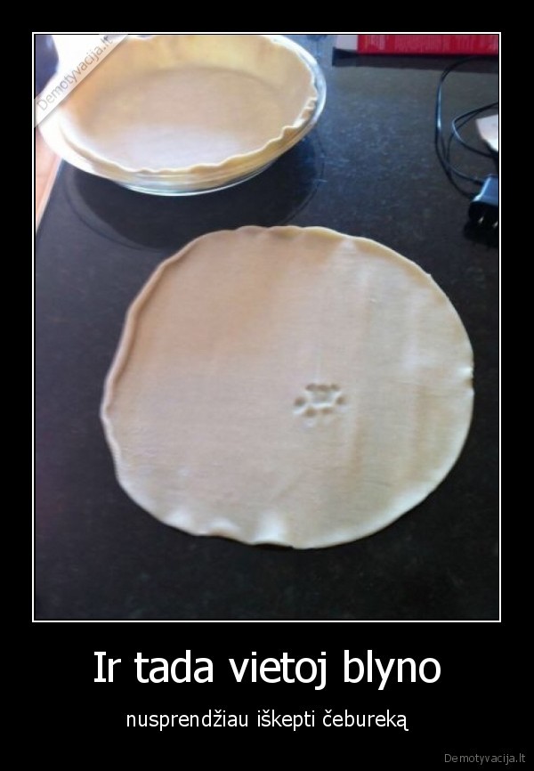 ceburekas,katinas,tesla