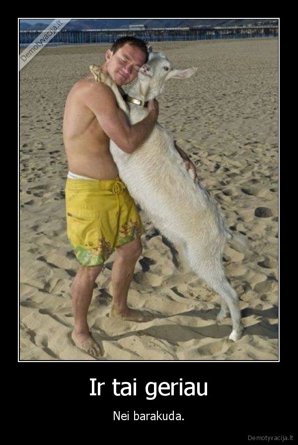 ozka,panele,barakuda