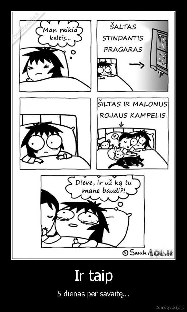 savaite,sunku, keltis,rytas