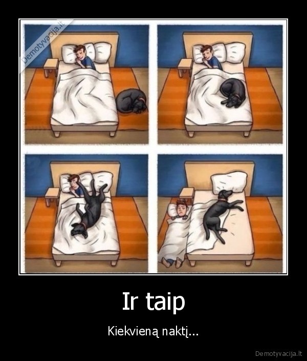 suns, savininkas,sunki, naktis