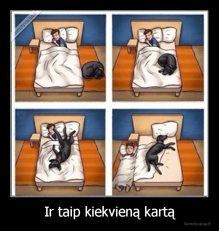 komiksas,suo,miegas,lova