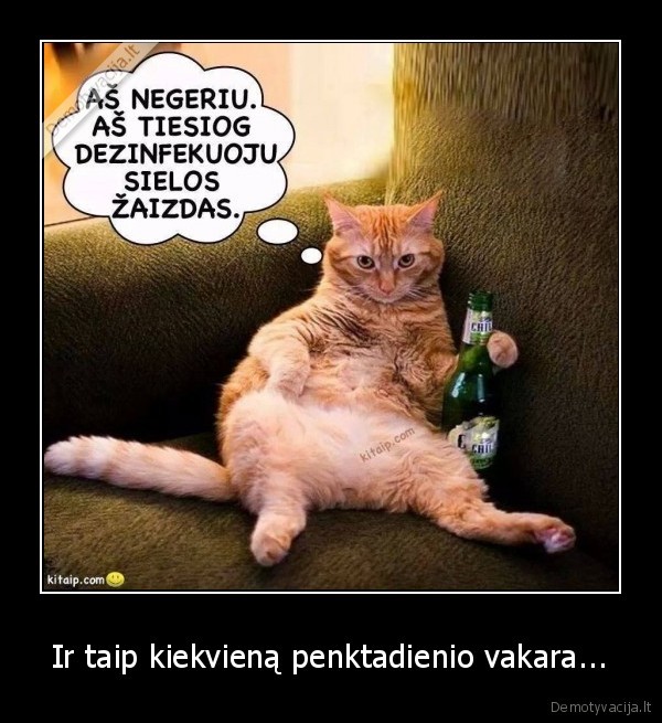 Ir taip kiekvieną penktadienio vakara...