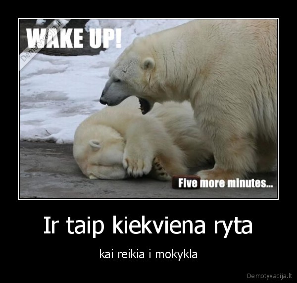 Ir taip kiekviena ryta