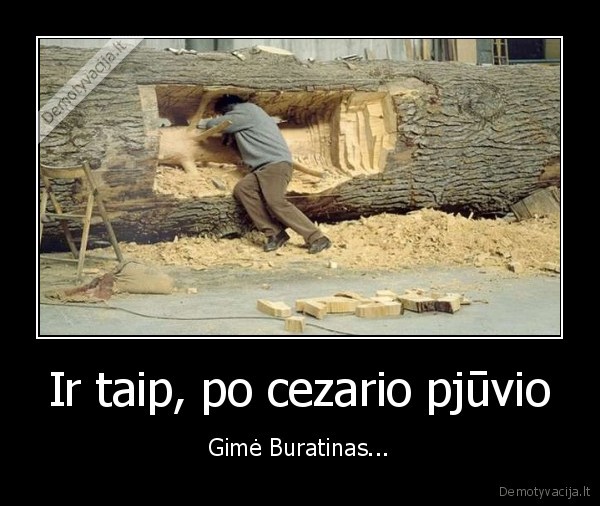 gimimas,pinokis,buratinas,cezario, pjuvis