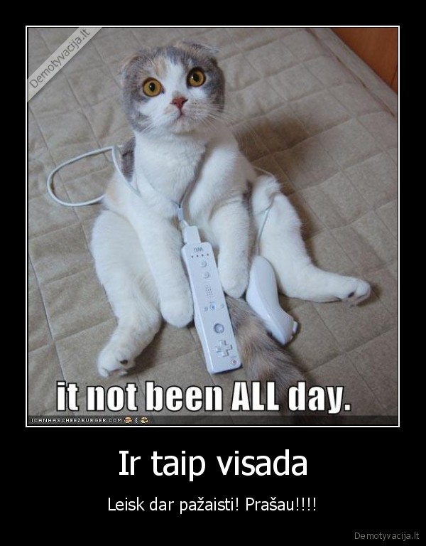 katinas, wii, chukis