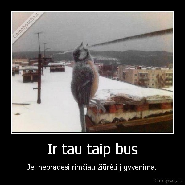 paukstis,fiizka,elektra