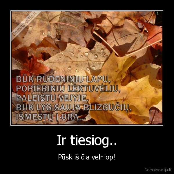 Ir tiesiog..