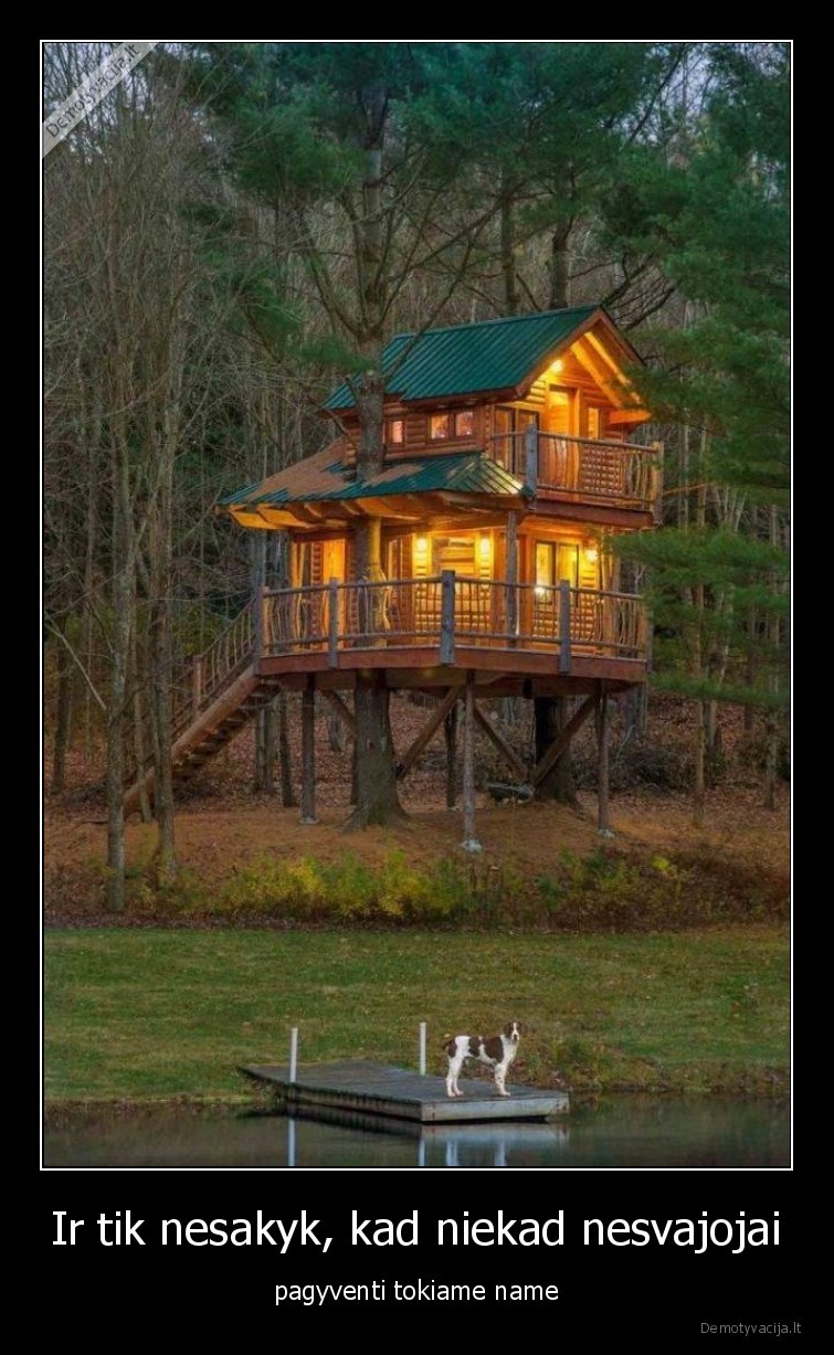 namelis, medyje,vaikysteje,nesvajojai,nesakyk,tokiame, name