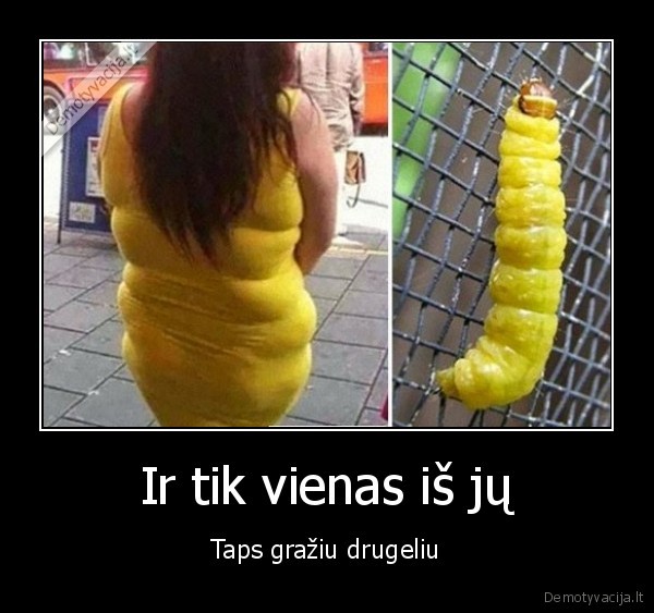 kirminas,geltona, suknele,stora