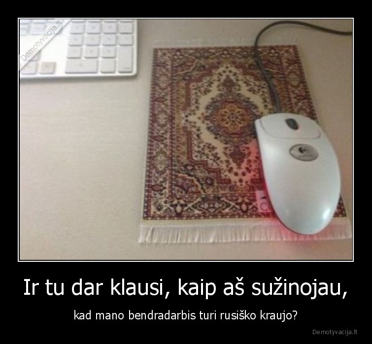 rusas,ofise,ofisas,pelyte,kilimelis