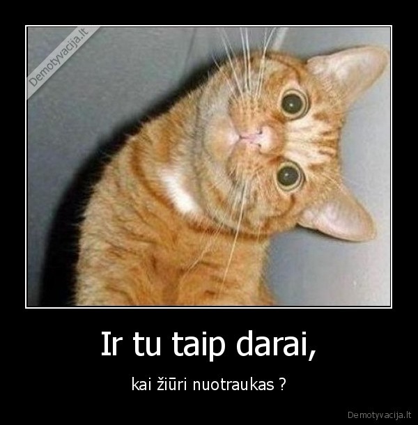 Ir tu taip darai,
