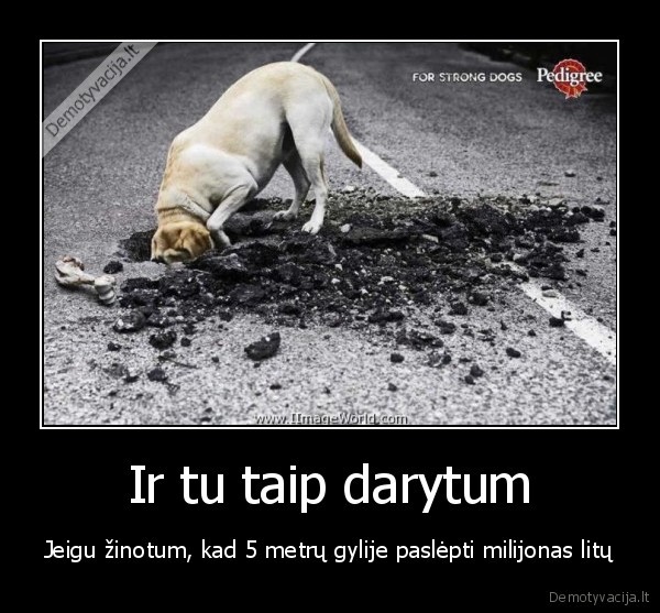 Ir tu taip darytum