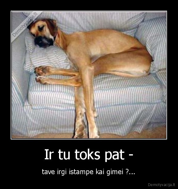Ir tu toks pat -