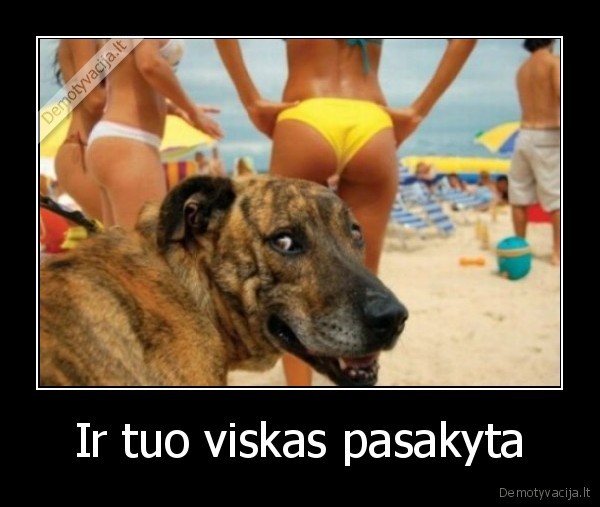 Ir tuo viskas pasakyta