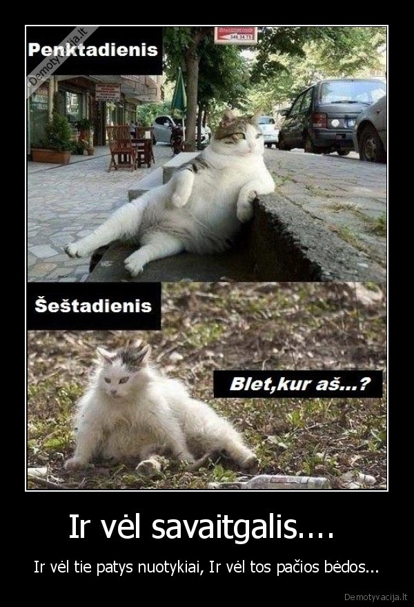 Ir vėl savaitgalis.... 