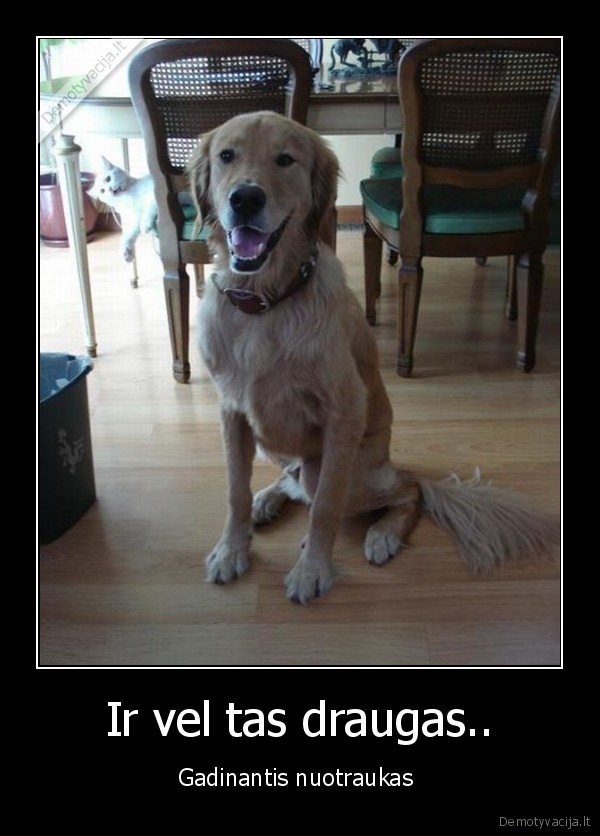 Ir vel tas draugas..