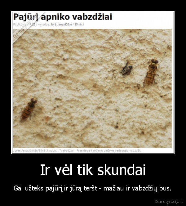 Ir vėl tik skundai