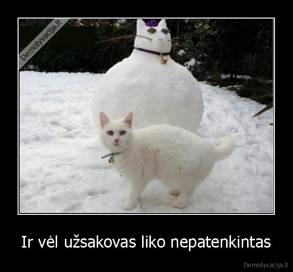 Ir vėl užsakovas liko nepatenkintas