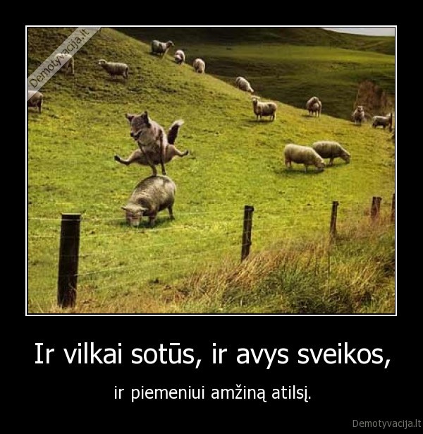 vilkai,avys,piemenys