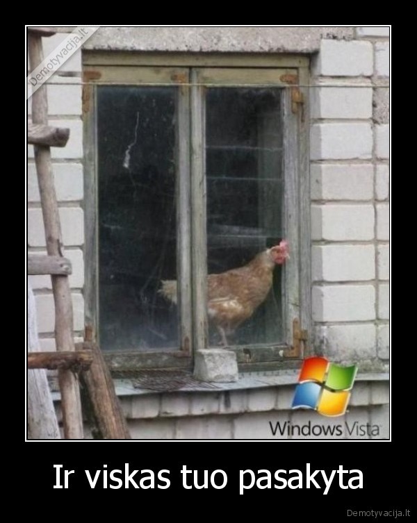 Ir viskas tuo pasakyta