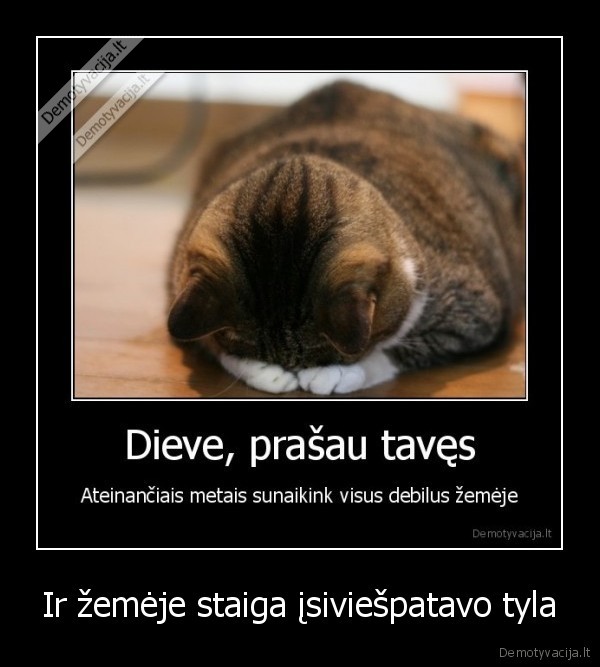 debilai, zemeje,katinuko, malda