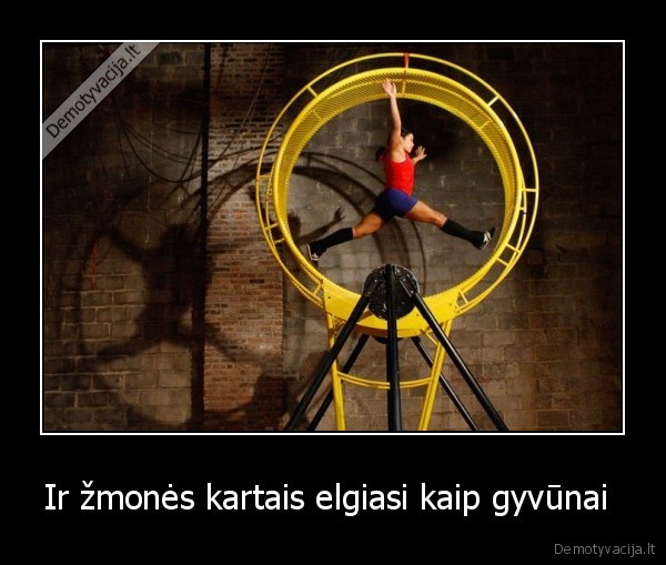 Ir žmonės kartais elgiasi kaip gyvūnai 