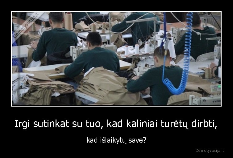 kalejimas,kaliniai,darbas