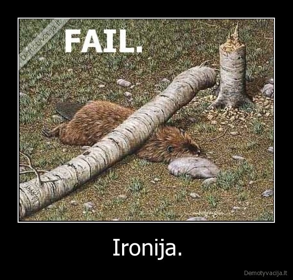 ironija