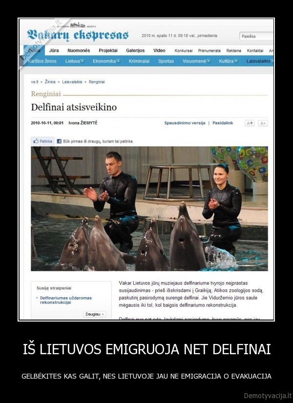 IŠ LIETUVOS EMIGRUOJA NET DELFINAI