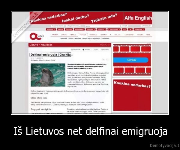 delfinai,alfa,emigracija