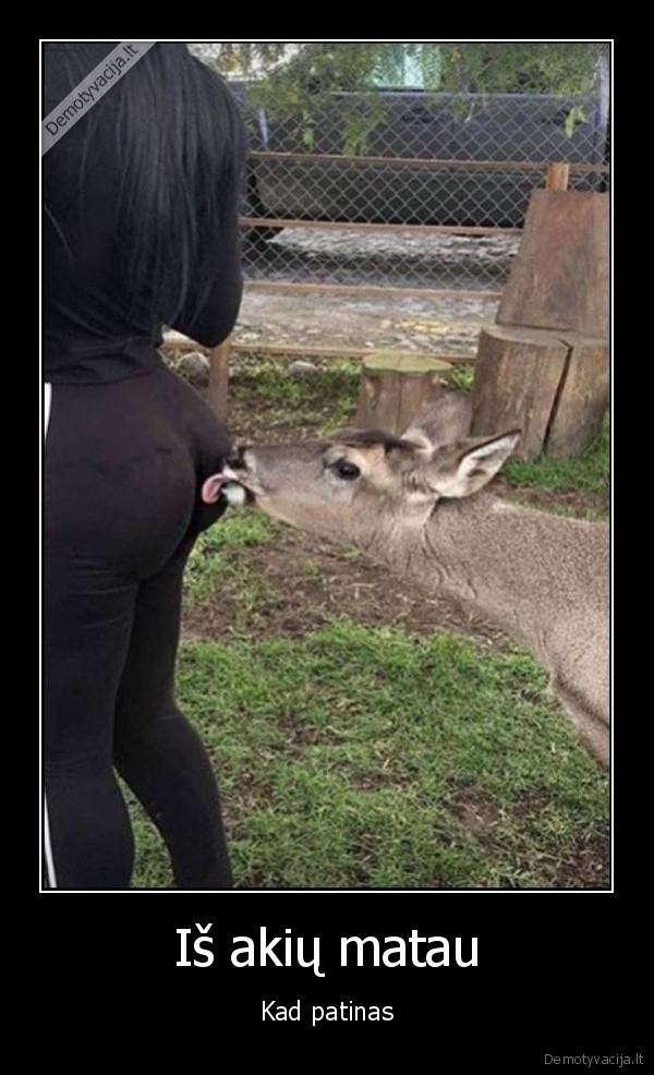 patinas,stirna,uzpakaliukas