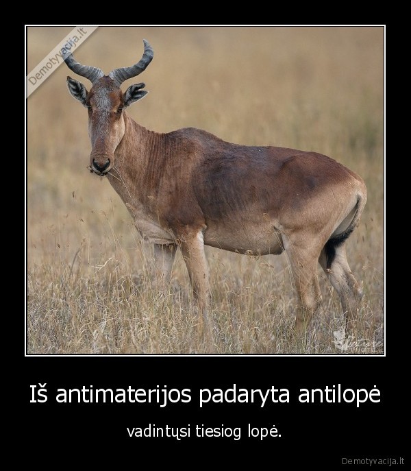 antilope,lope,medinis