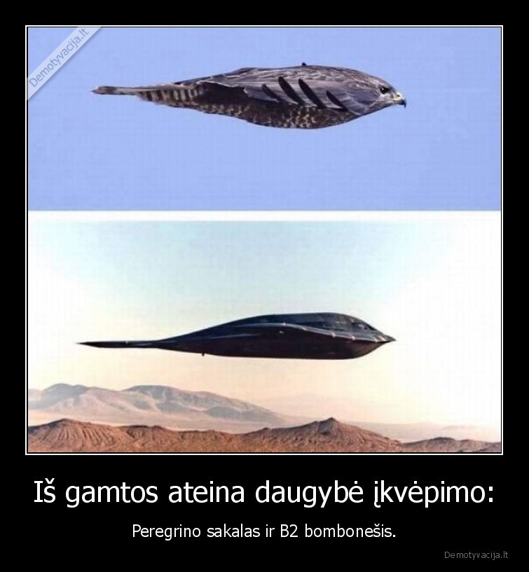 gamta,ikvepimas,sakalas,lektuvas