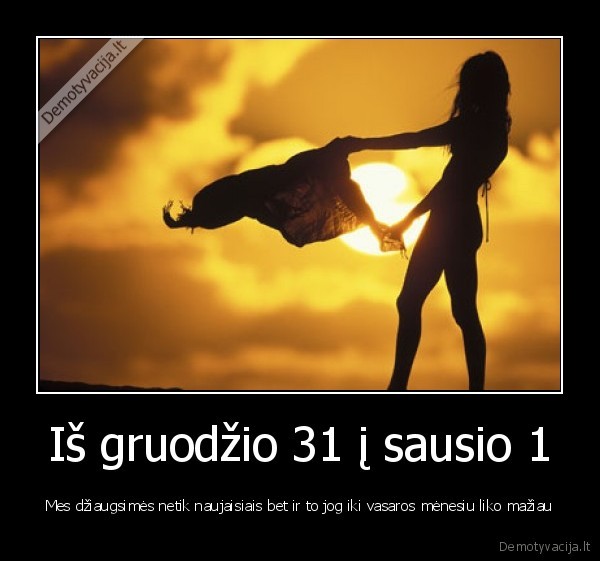 sventes, naujieji, 2011, juokelis, linksma, ziema, vasara, seimas, geriausias, facebook