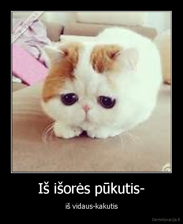 Iš išorės pūkutis-