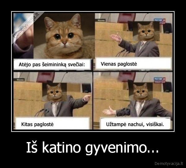 Iš katino gyvenimo...