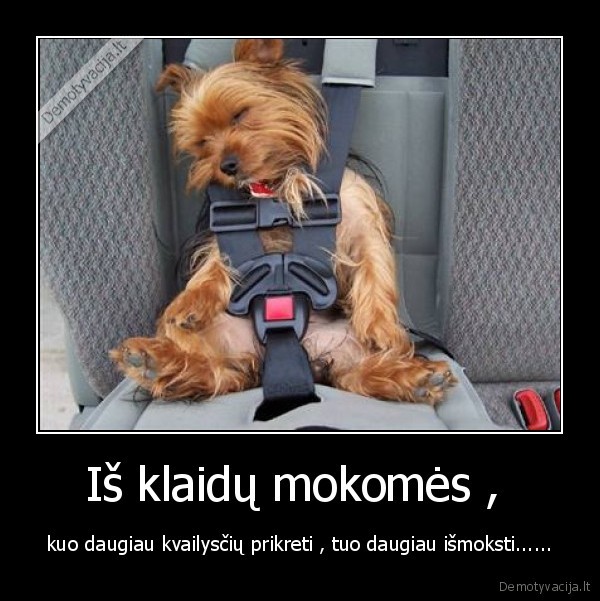 Iš klaidų mokomės , 