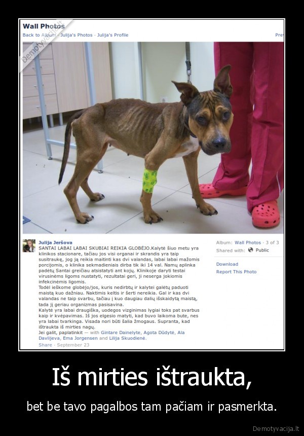 Iš mirties ištraukta,