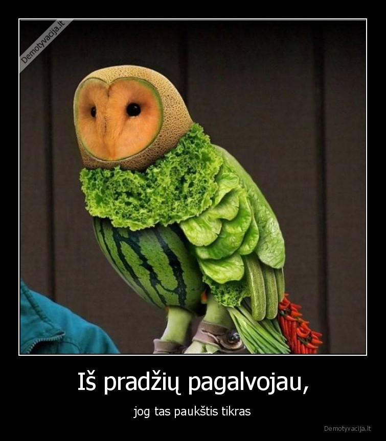 optine, apgaule,iliuzija,paukstis