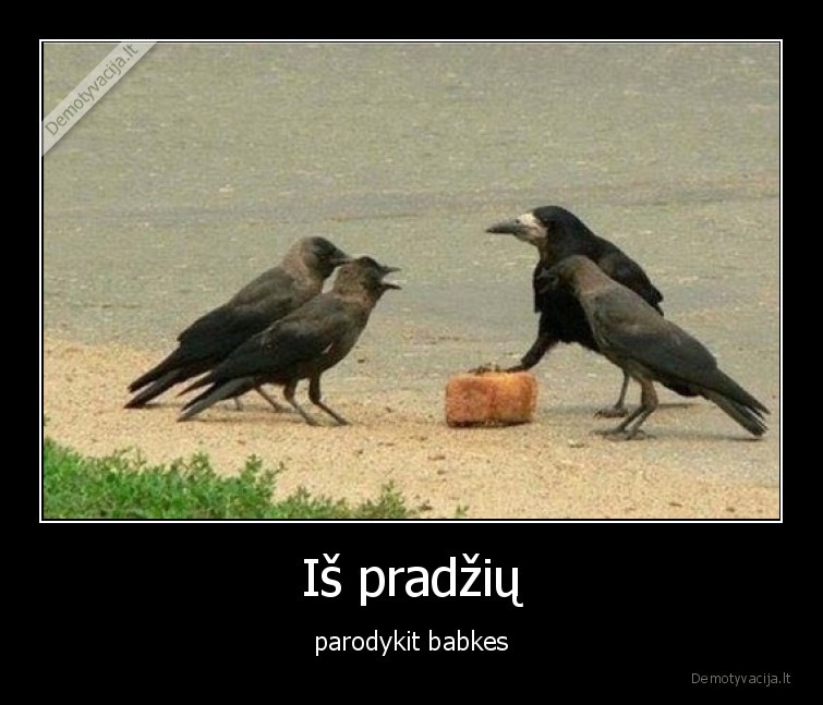 babkes,pinigai,dealeriai,mafia,varnos