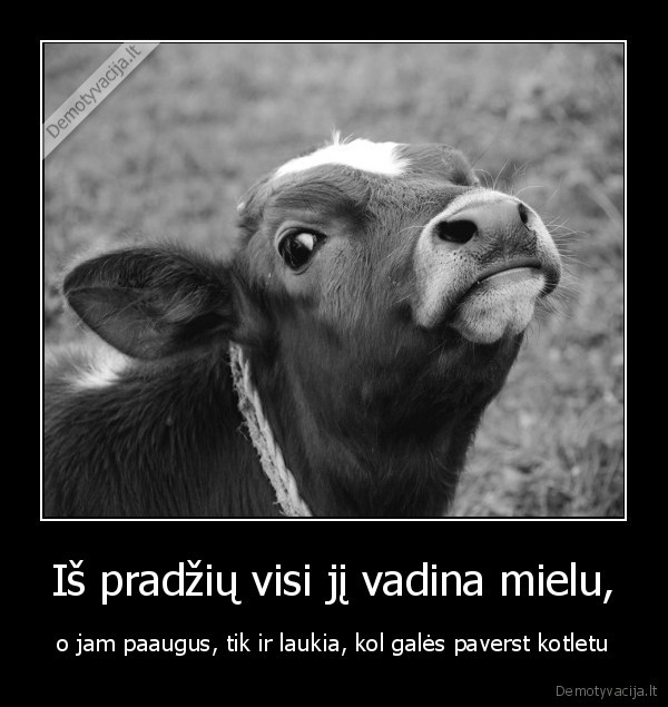 versiukas,jautukas,versiena