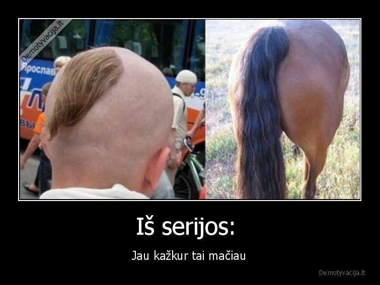 serija,plaukai,kirpimas,uodega,zirgas
