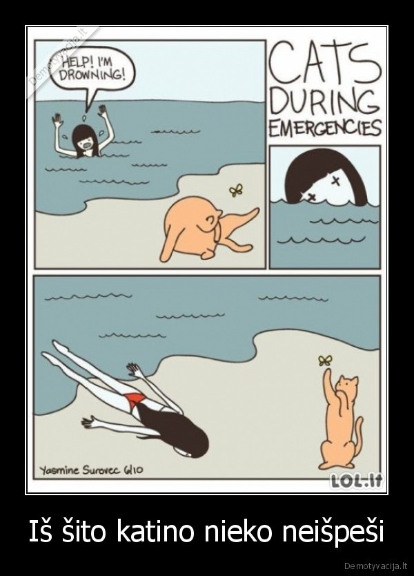 Iš šito katino nieko neišpeši