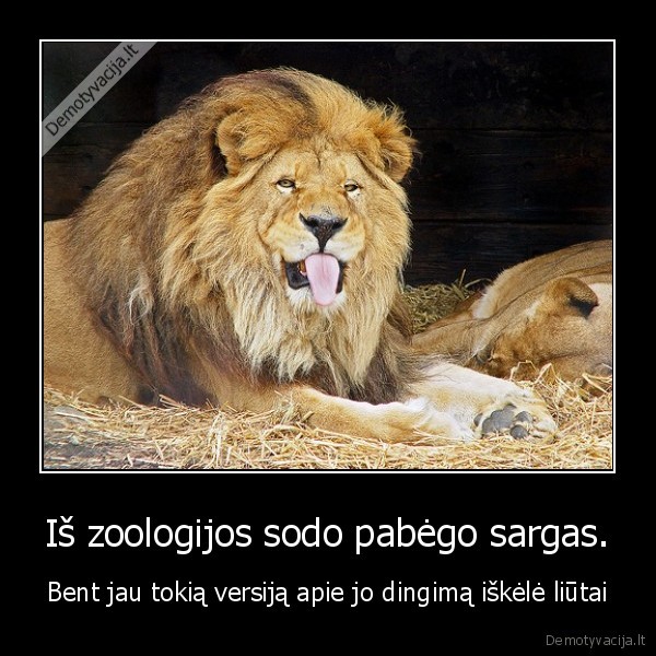 sargas,uzpuole,liutai